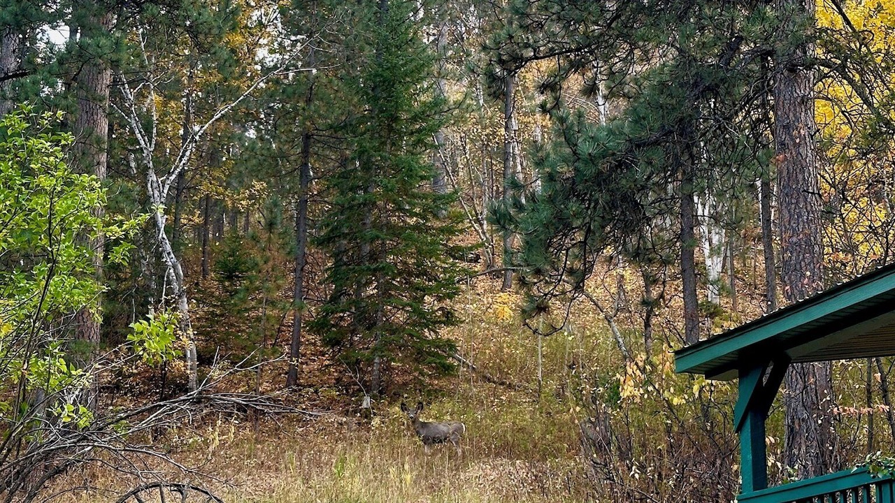 Photo of Outdoor in Deadwood