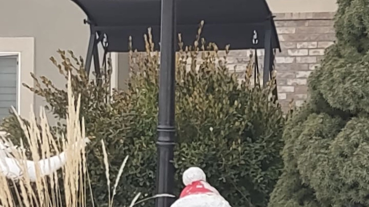 Photo of Others in Farmington