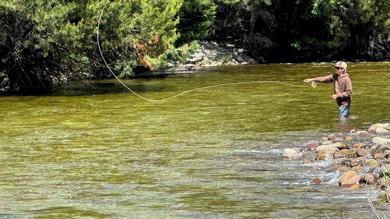 Photo of Others in Grantsdale