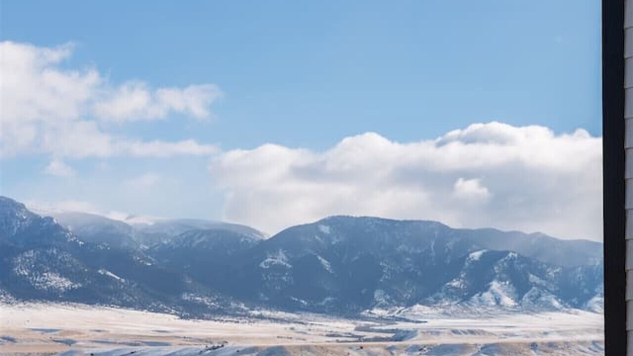 Photo of Outdoor in McAllister