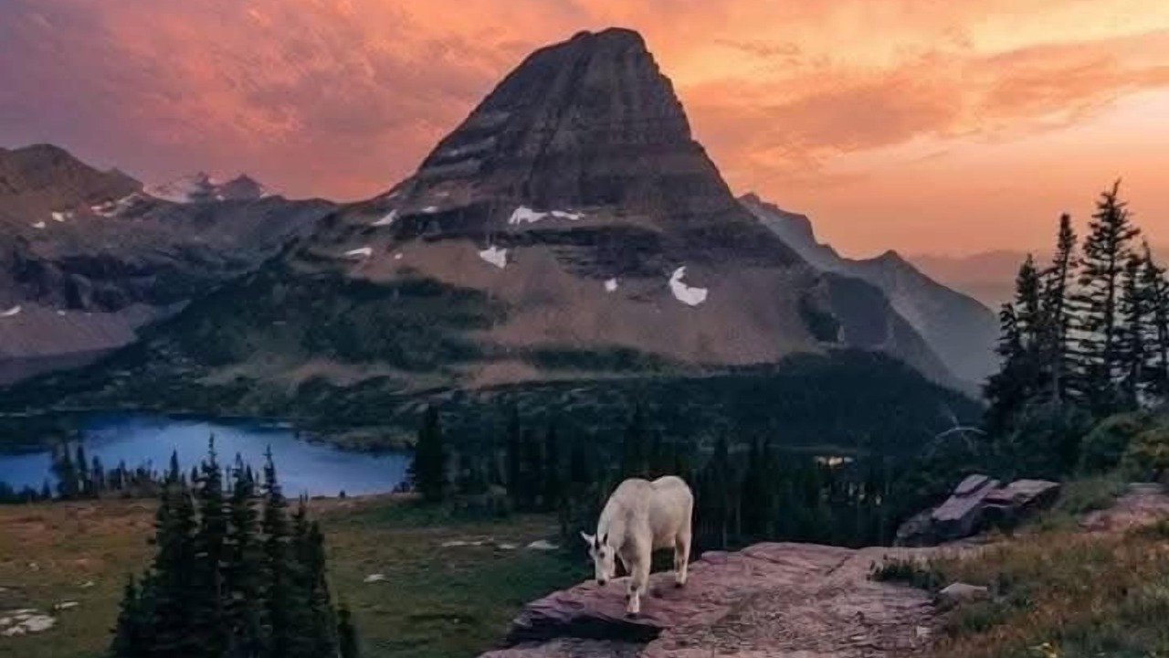 Photo of Outdoor in East Glacier Park Village