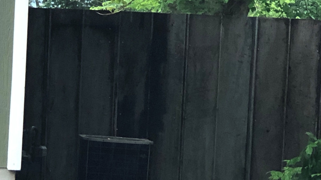 Photo of Others in Dunbar