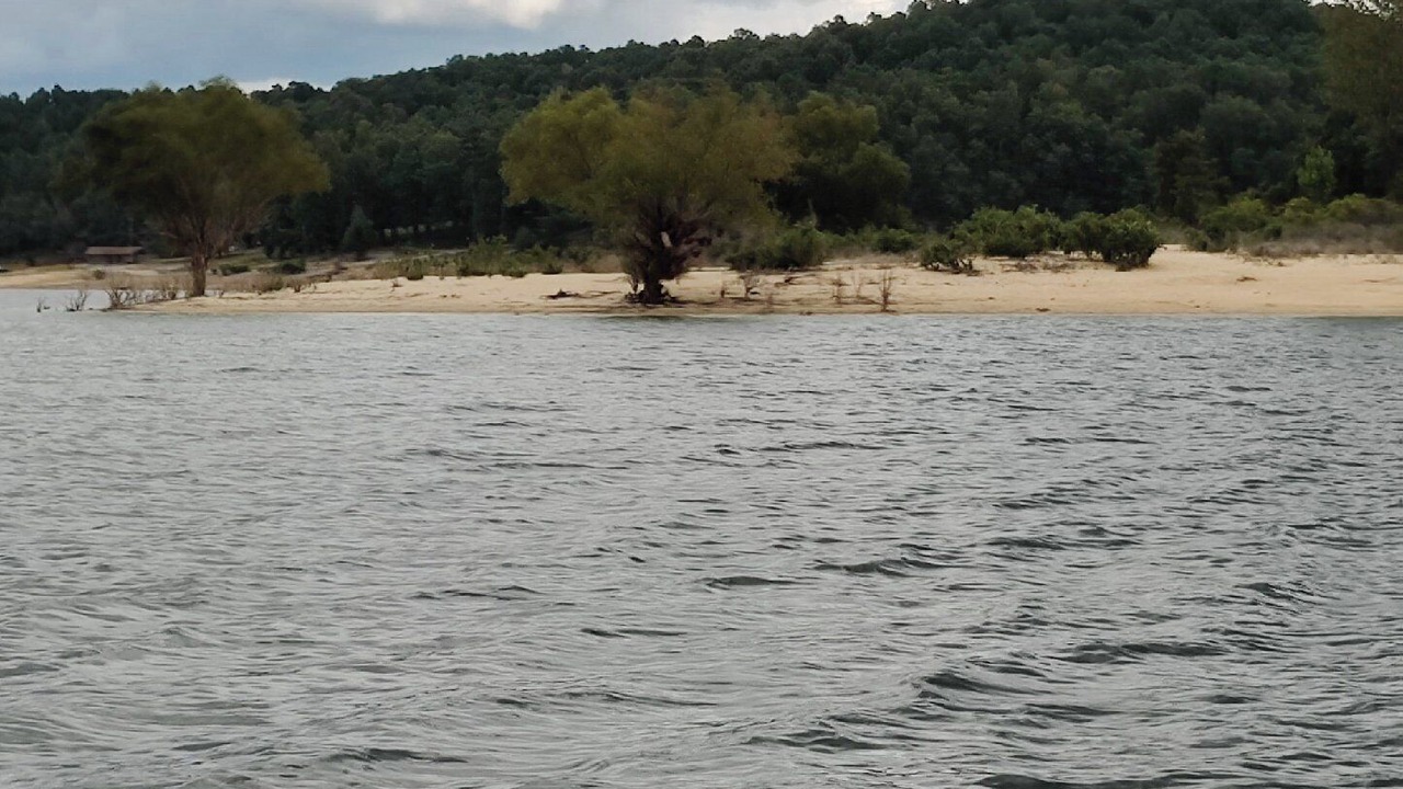 Photo of Others in Elizabeth