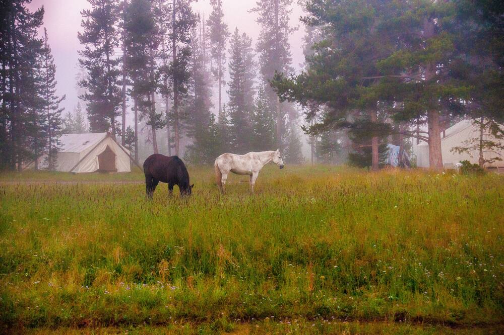 Photo of Outdoor in Flagg Ranch