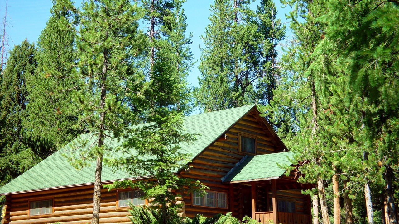 Photo of Buildings in Pahaska
