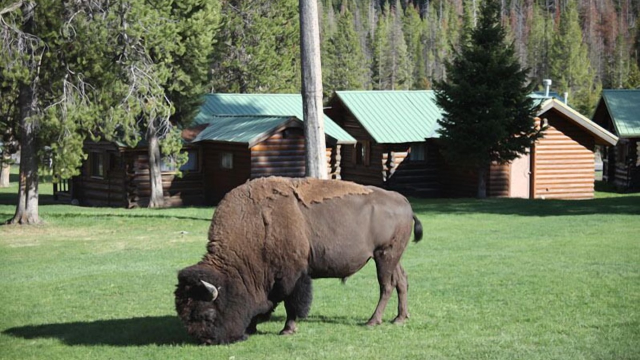 Photo of Outdoor in Pahaska