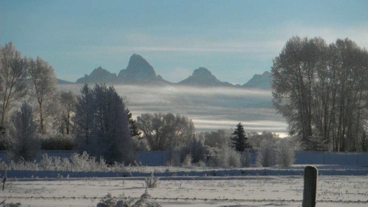 Photo of Others in Tetonia