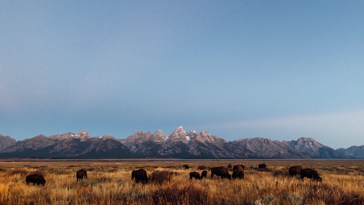 Photo of Outdoor in Tetonia