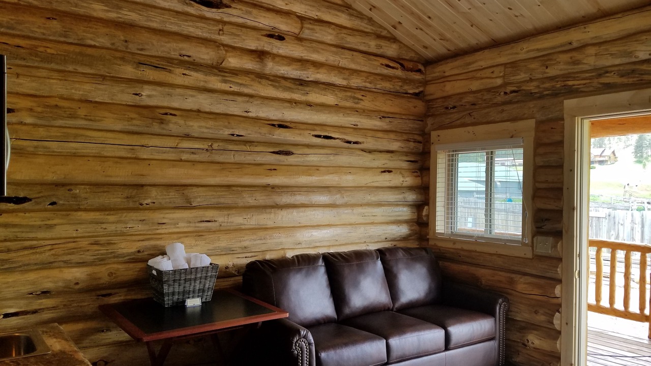 Photo of Livingroom in Sturgis