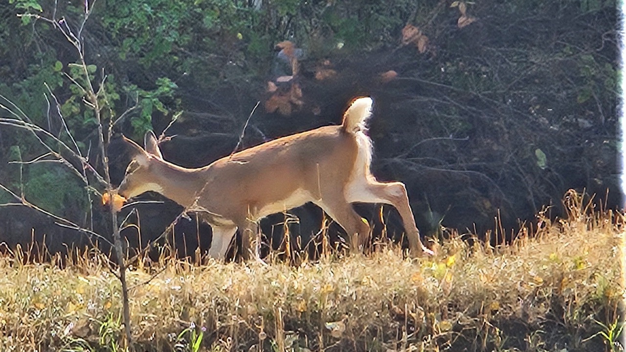 Photo of Others in Absarokee