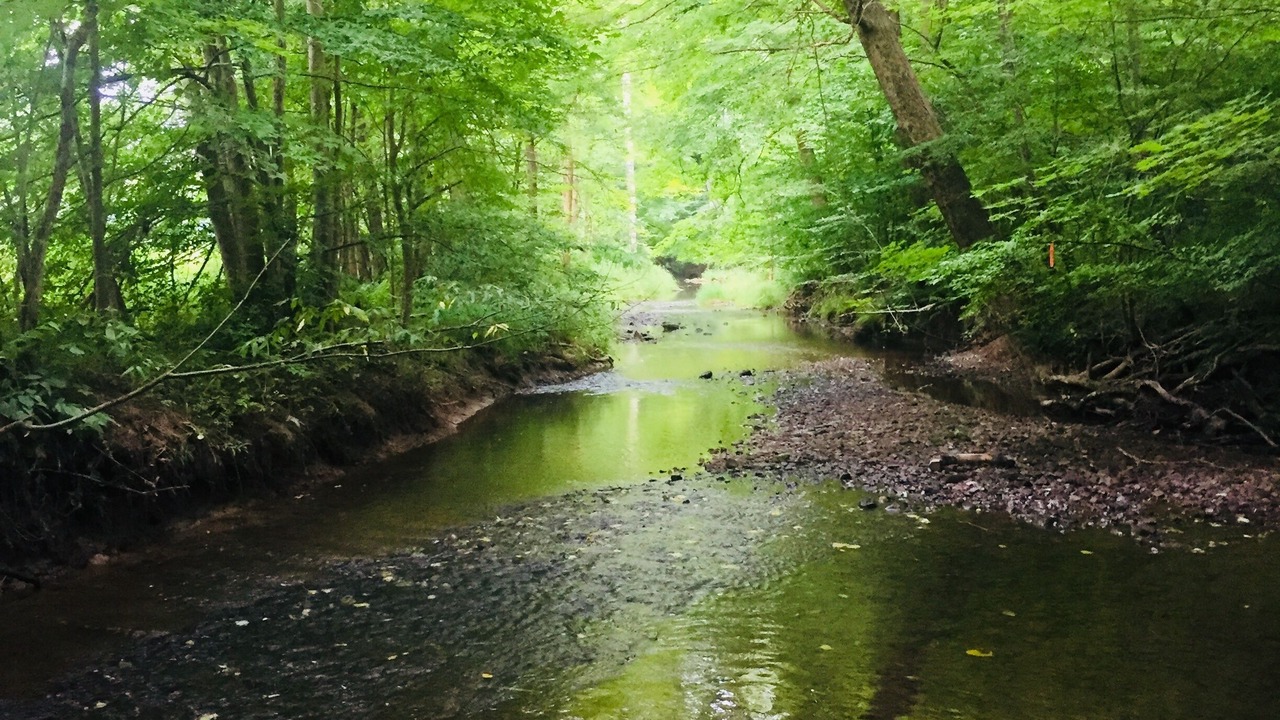 Photo of Outdoor in Bellville