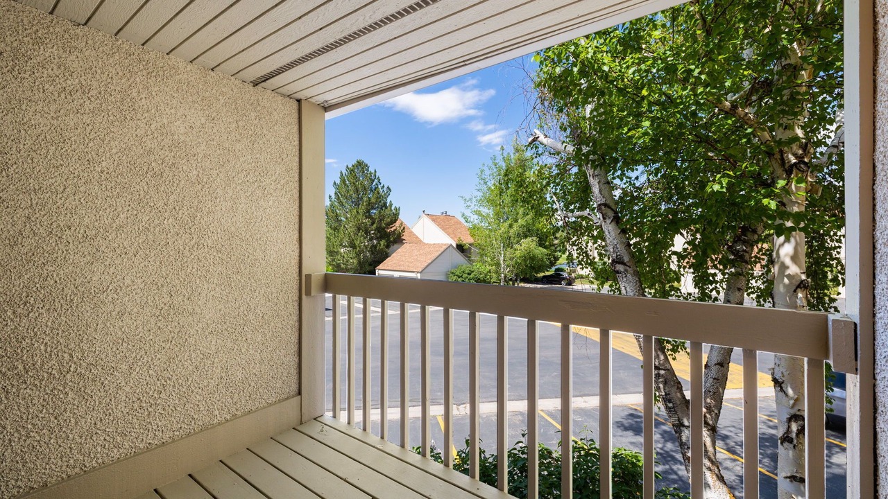 Photo of Outdoor in Park Meadows