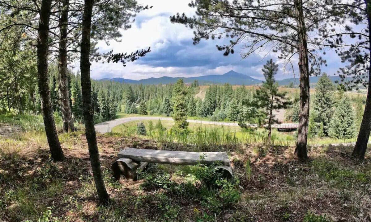 Photo of Others in Skywood Preserve