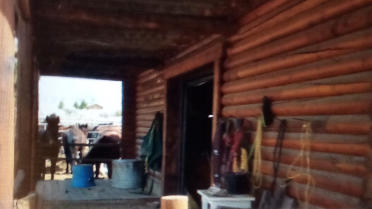 Photo of Outdoor in Wapiti