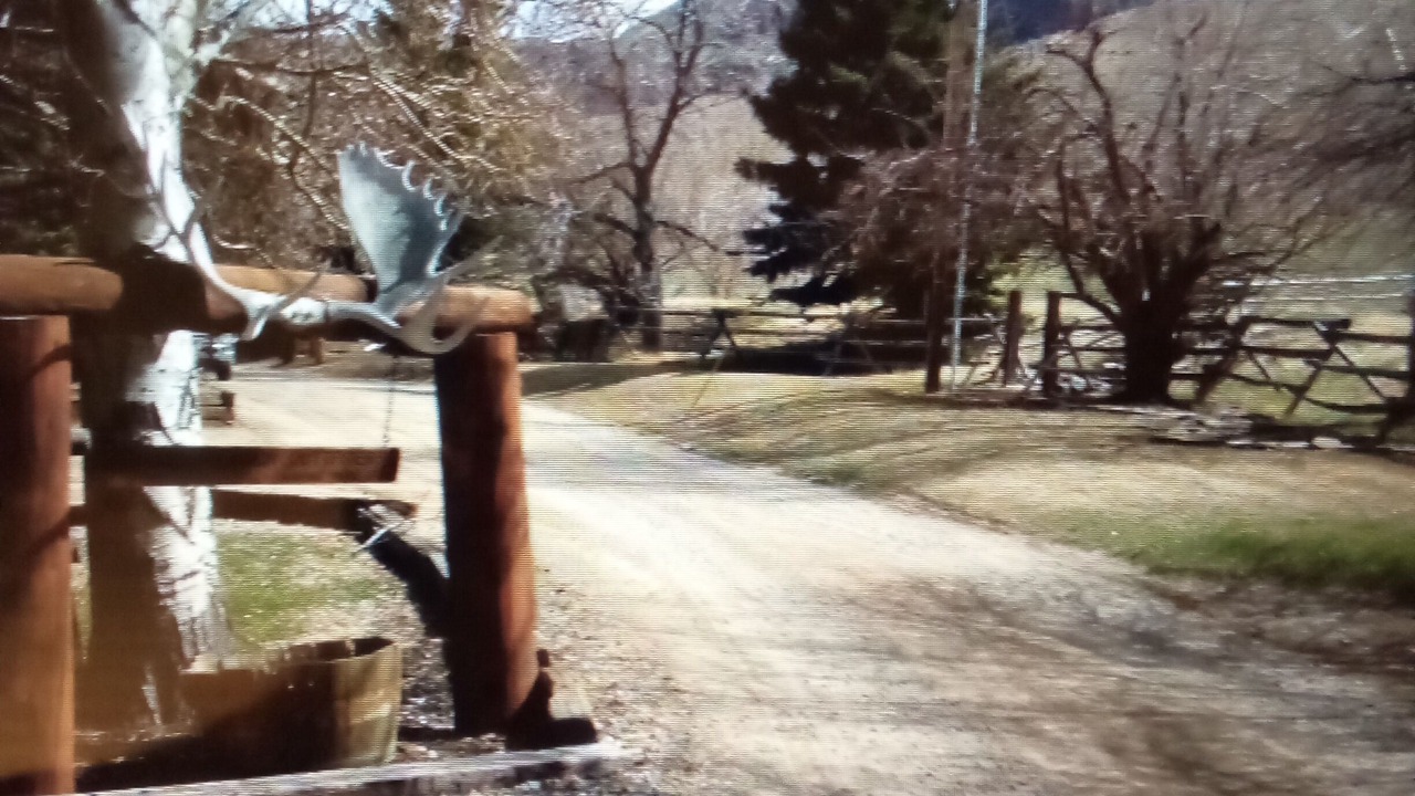 Photo of Outdoor in Wapiti