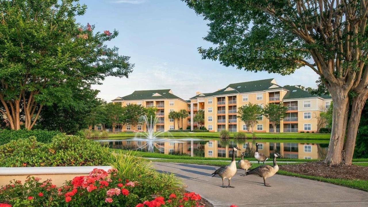 Photo of Outdoor in Carolina Forest