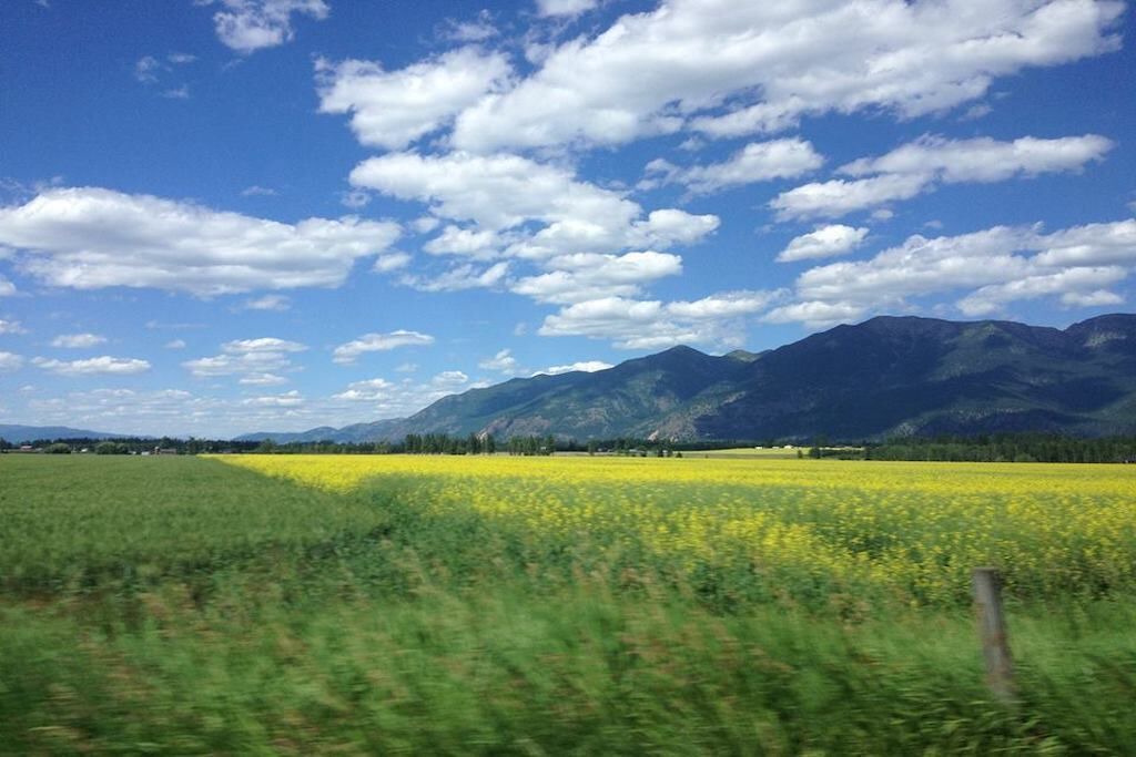 Photo of Others in Kalispell