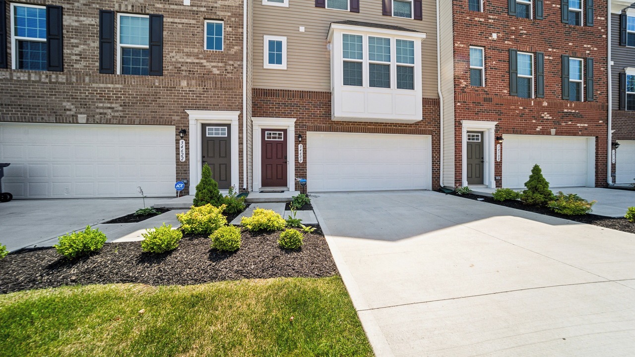 Photo of Outdoor in Willoughby