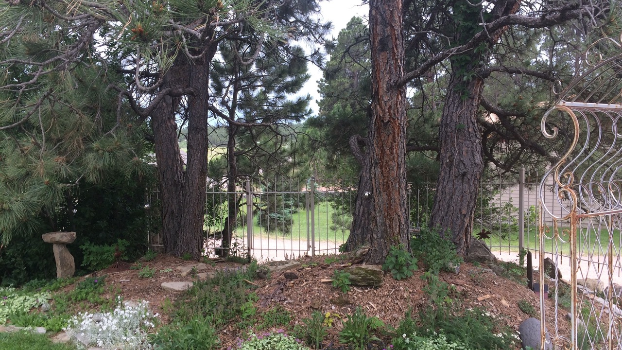 Photo of Outdoor in Pine Haven