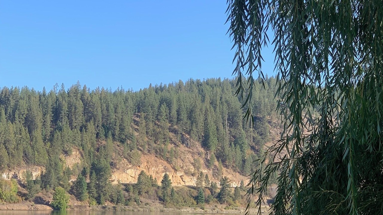 Photo of Outdoor in Priest River