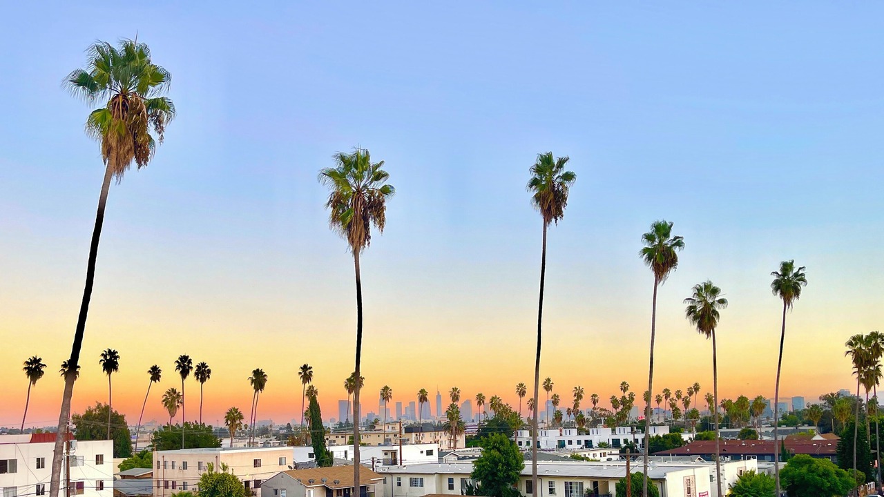 Photo of Others in East Hollywood