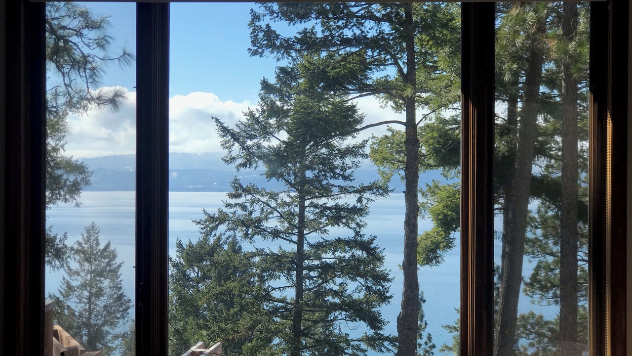Photo of Others in Woods Bay