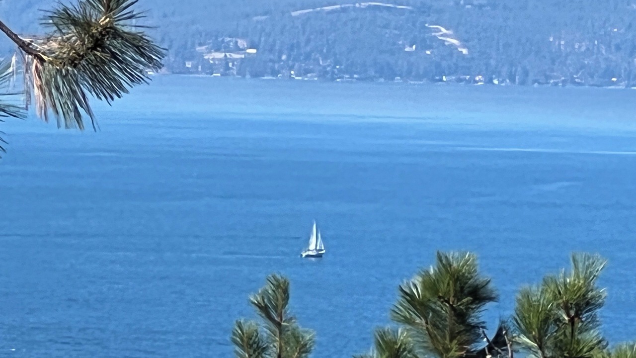 Photo of Others in Woods Bay