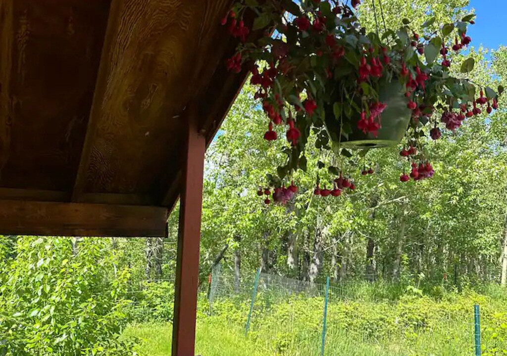 Photo of Outdoor in East Glacier Park