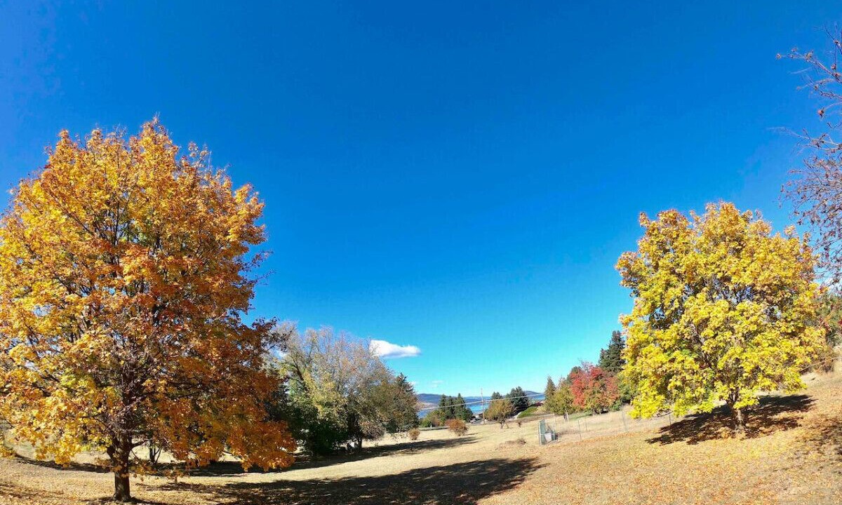 Photo of Outdoor in Polson