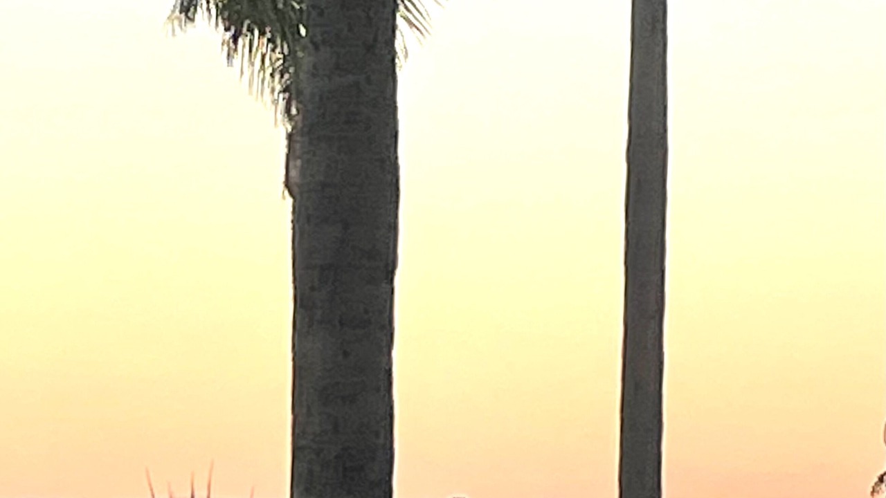 Photo of Outdoor in Point Loma