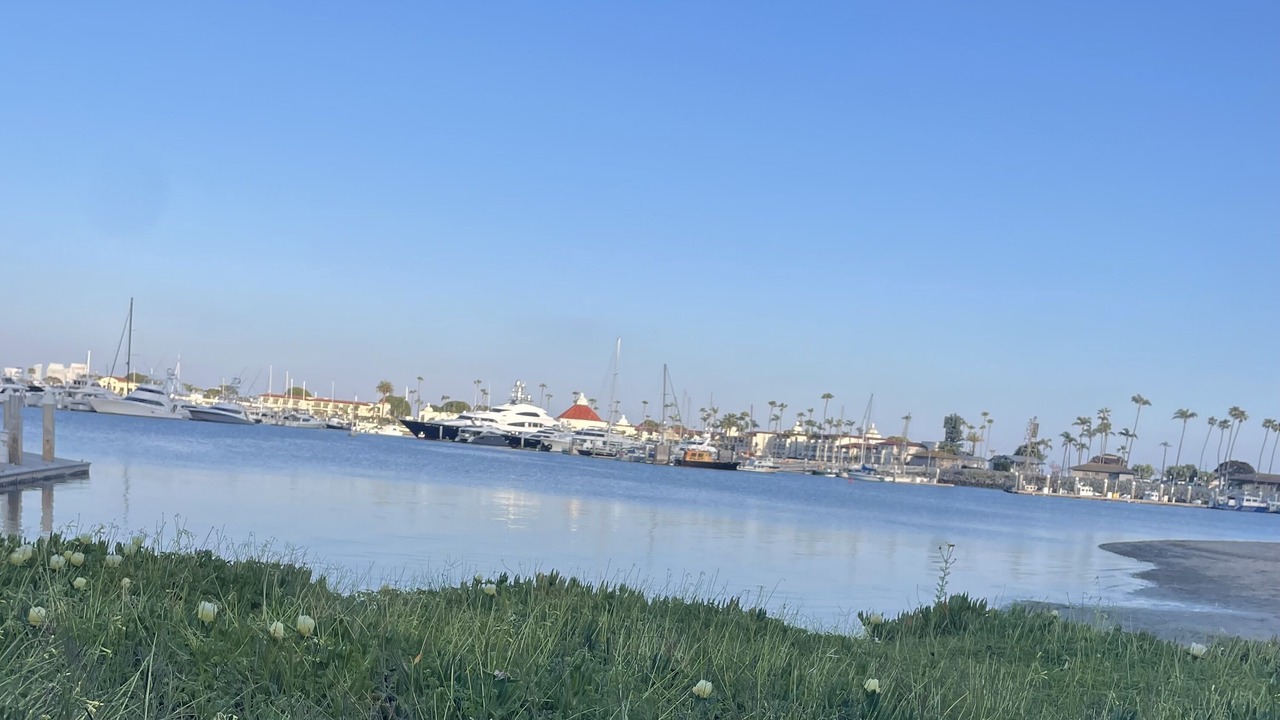 Photo of Others in Point Loma