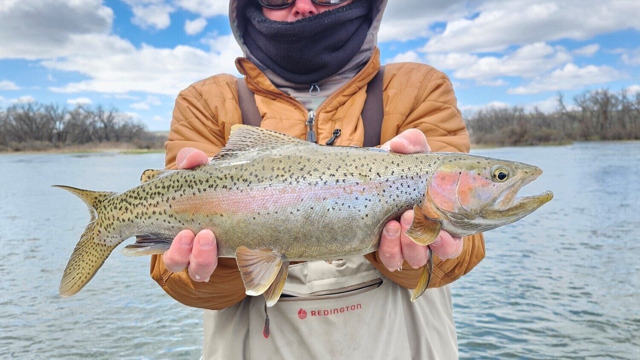 Photo of Others in Big Horn County