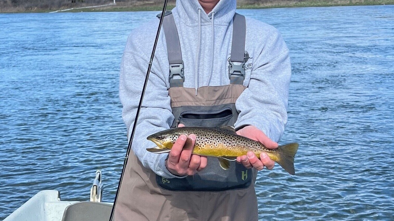 Photo of Outdoor in Big Horn County