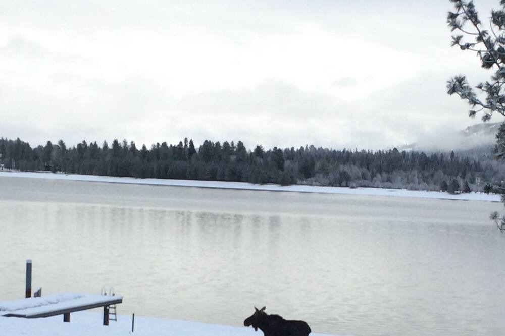 Photo of Others in Sandpoint