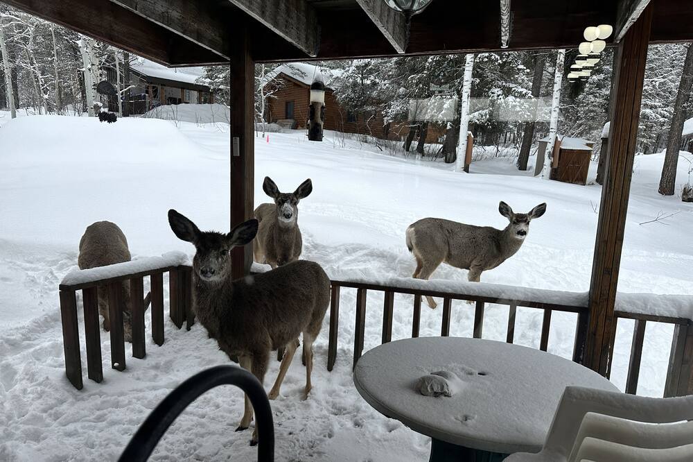 Photo of Outdoor in Star Valley Ranch