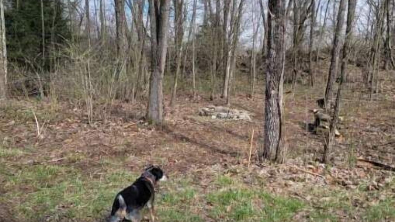 Photo of Outdoor in Freedom