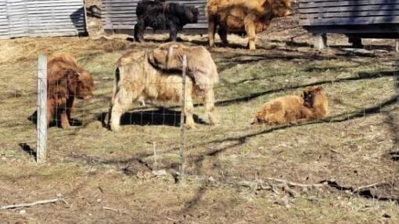 Photo of Others in Freedom