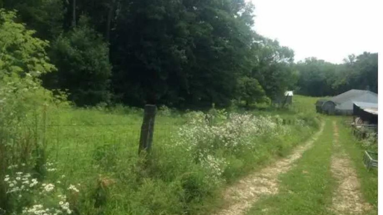 Photo of Outdoor in Freedom