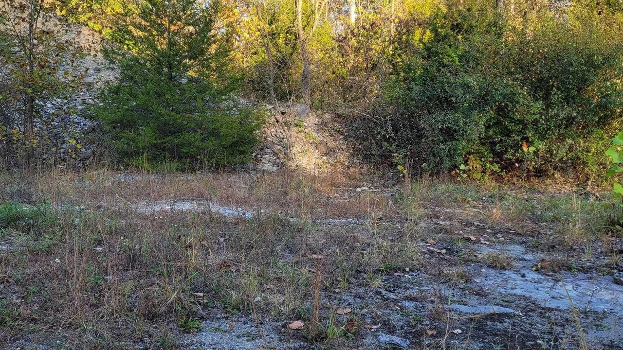 Photo of Outdoor in Freedom