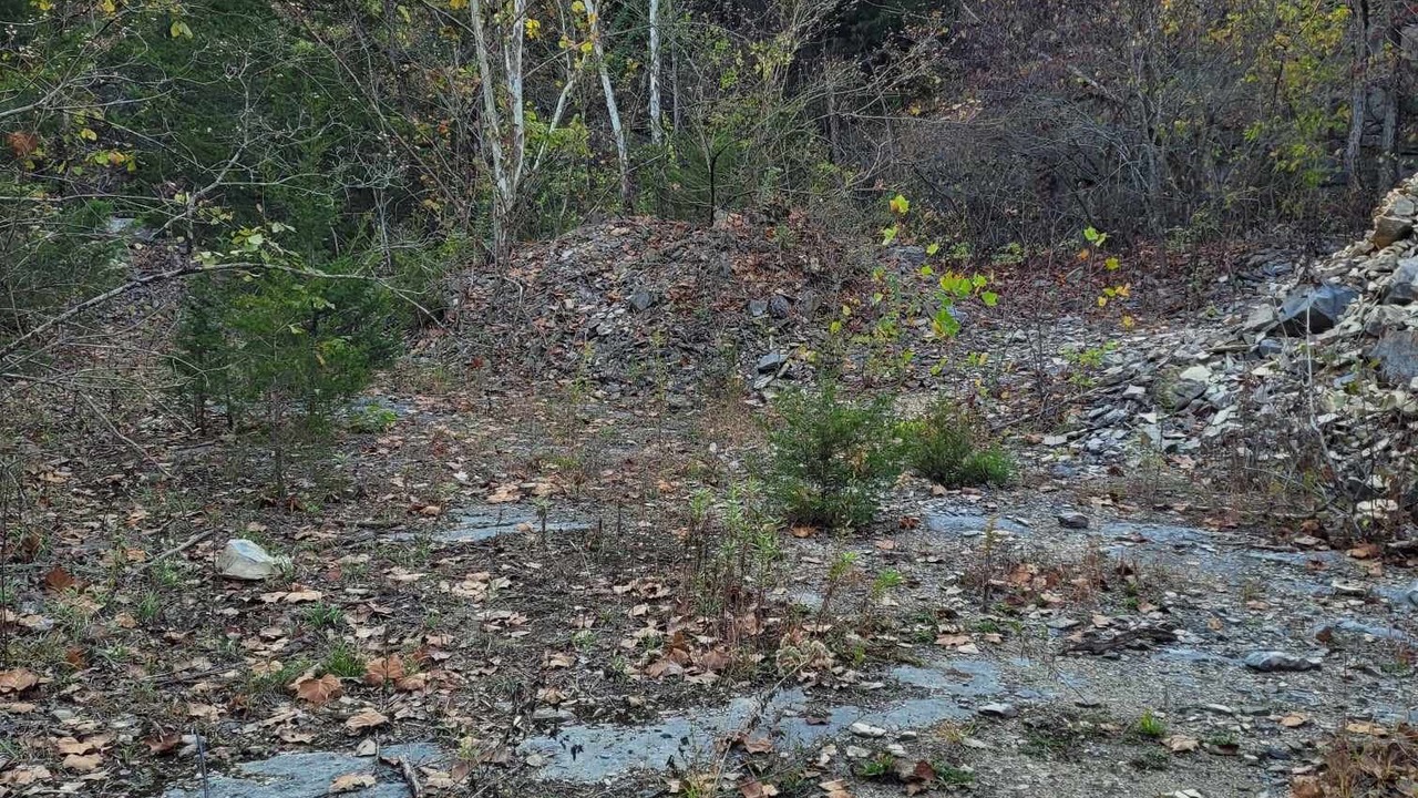 Photo of Outdoor in Freedom