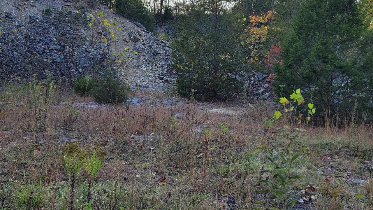 Photo of Outdoor in Freedom