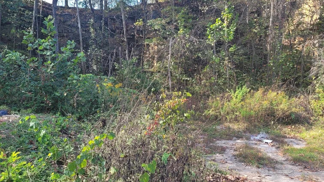 Photo of Outdoor in Freedom