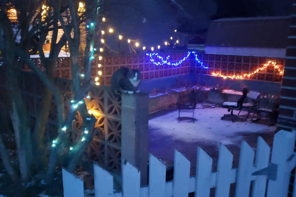 Photo of Outdoor in University District
