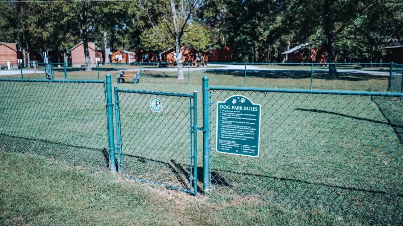 Photo of Others in Gore