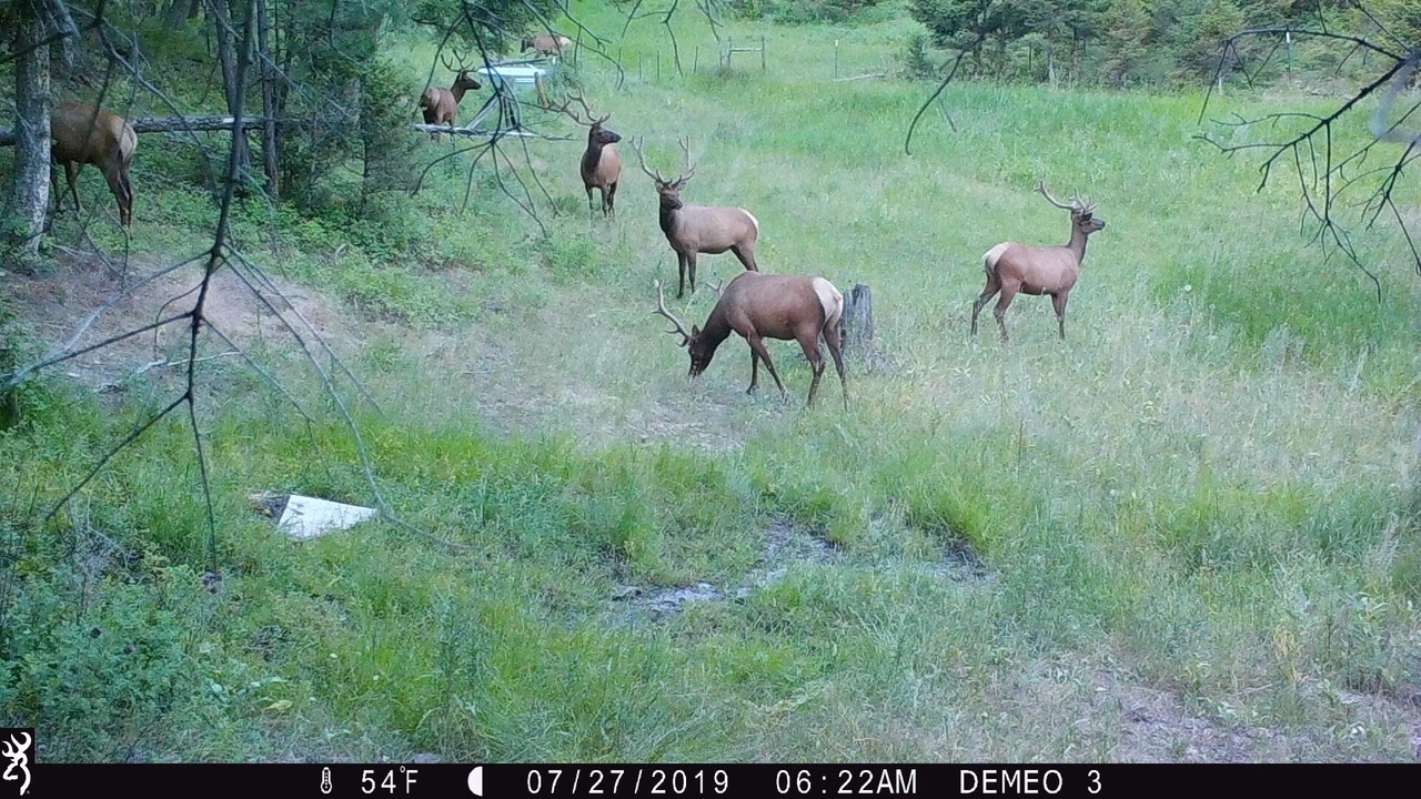 Photo of Outdoor in Granite County