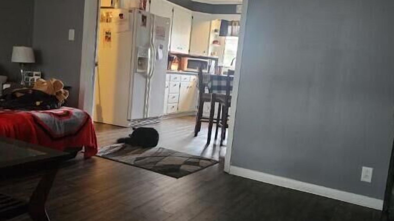 Photo of Livingroom in Wapakoneta