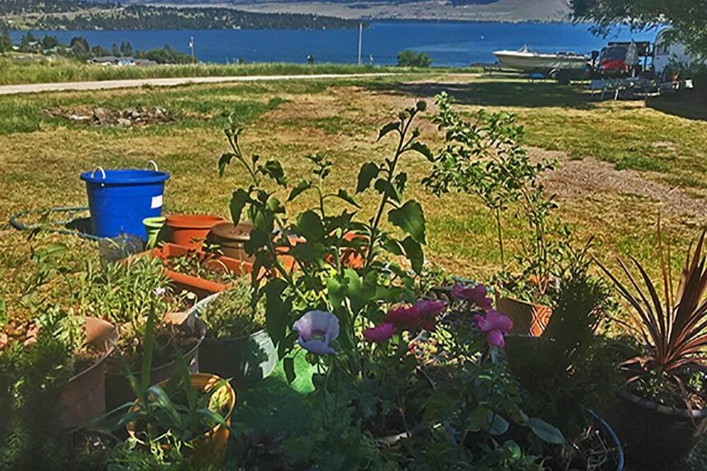 Photo of Outdoor in Big Arm