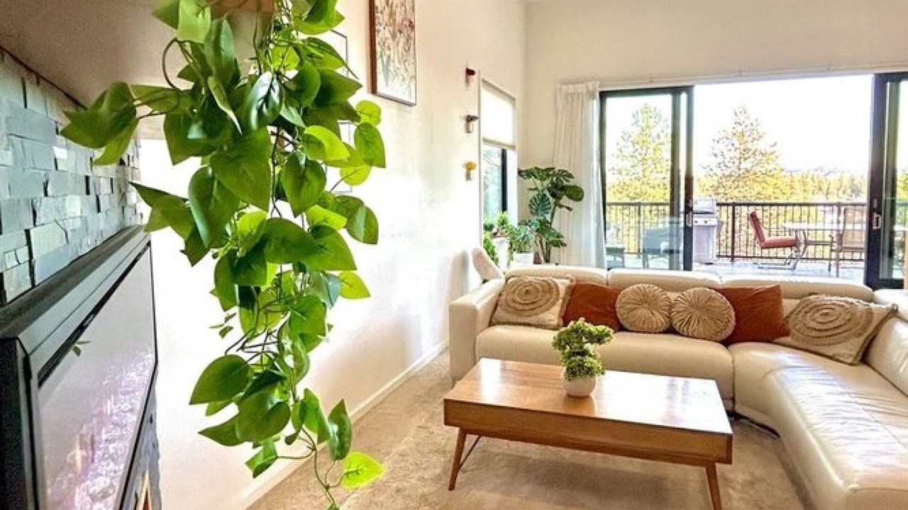 Photo of Livingroom in Spokane