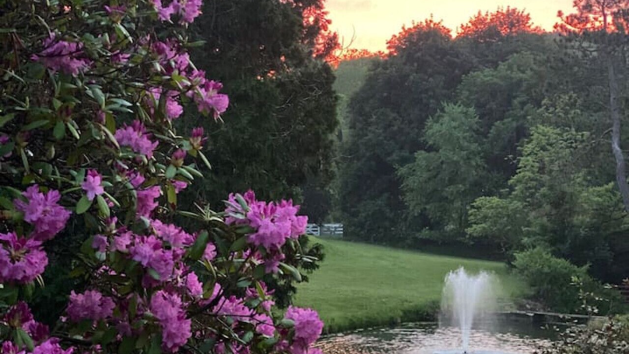Photo of Outdoor in Somerdale