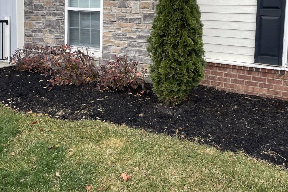 Photo of Outdoor in Marysville